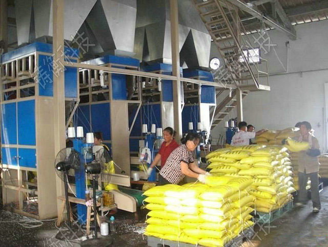 雙斗單頭定量包裝秤