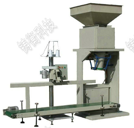 �ЙC�ʶ������b��